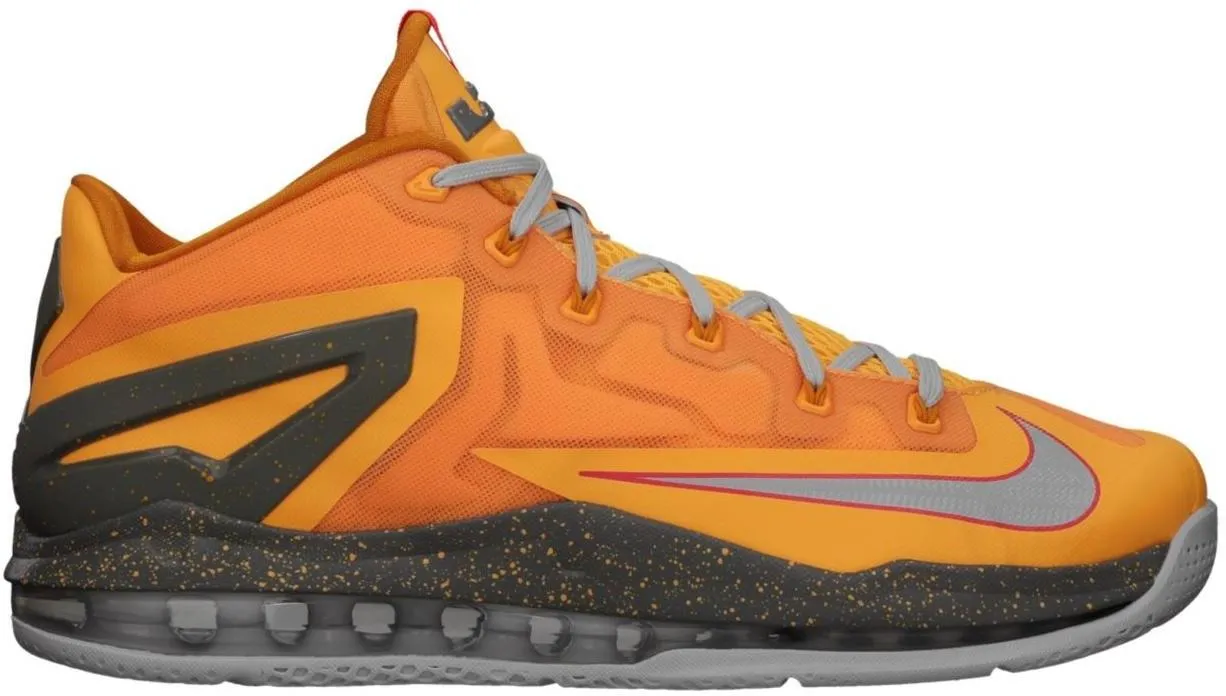 Nike LeBron 11 Low Floridian