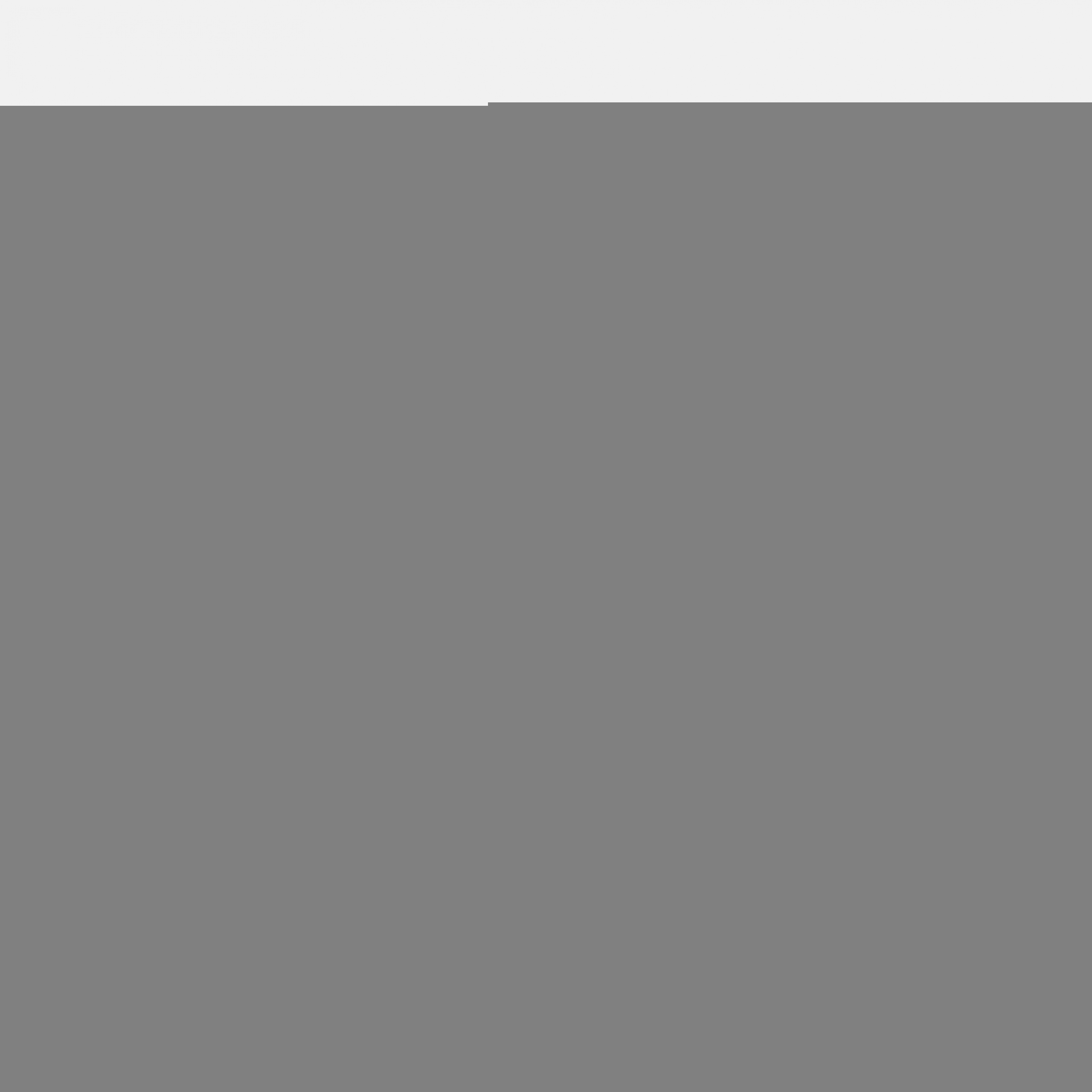 Фото № 3 с приближением к товару «‎Puma Carina 2.0 »