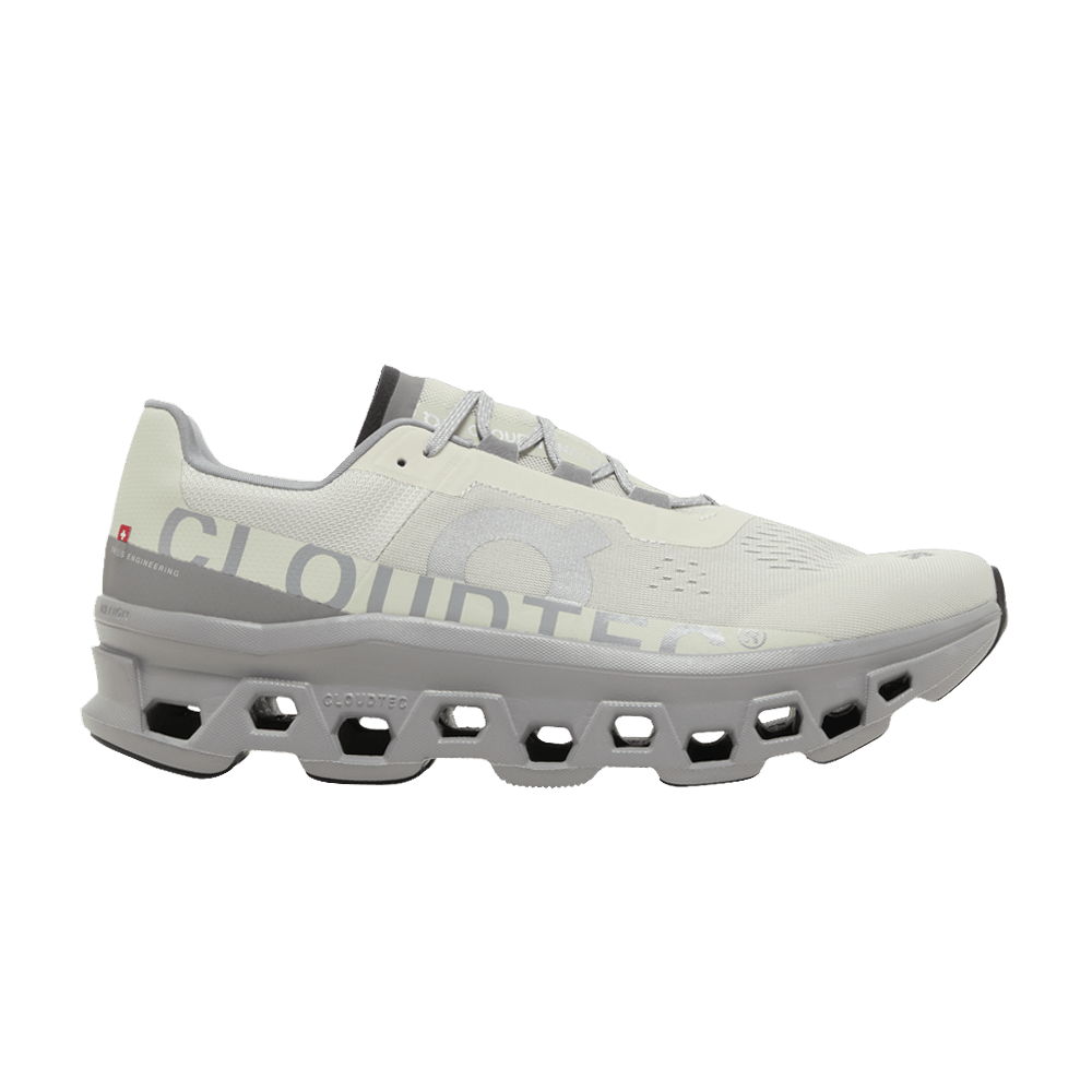 Cloudmonster Ice Alloy