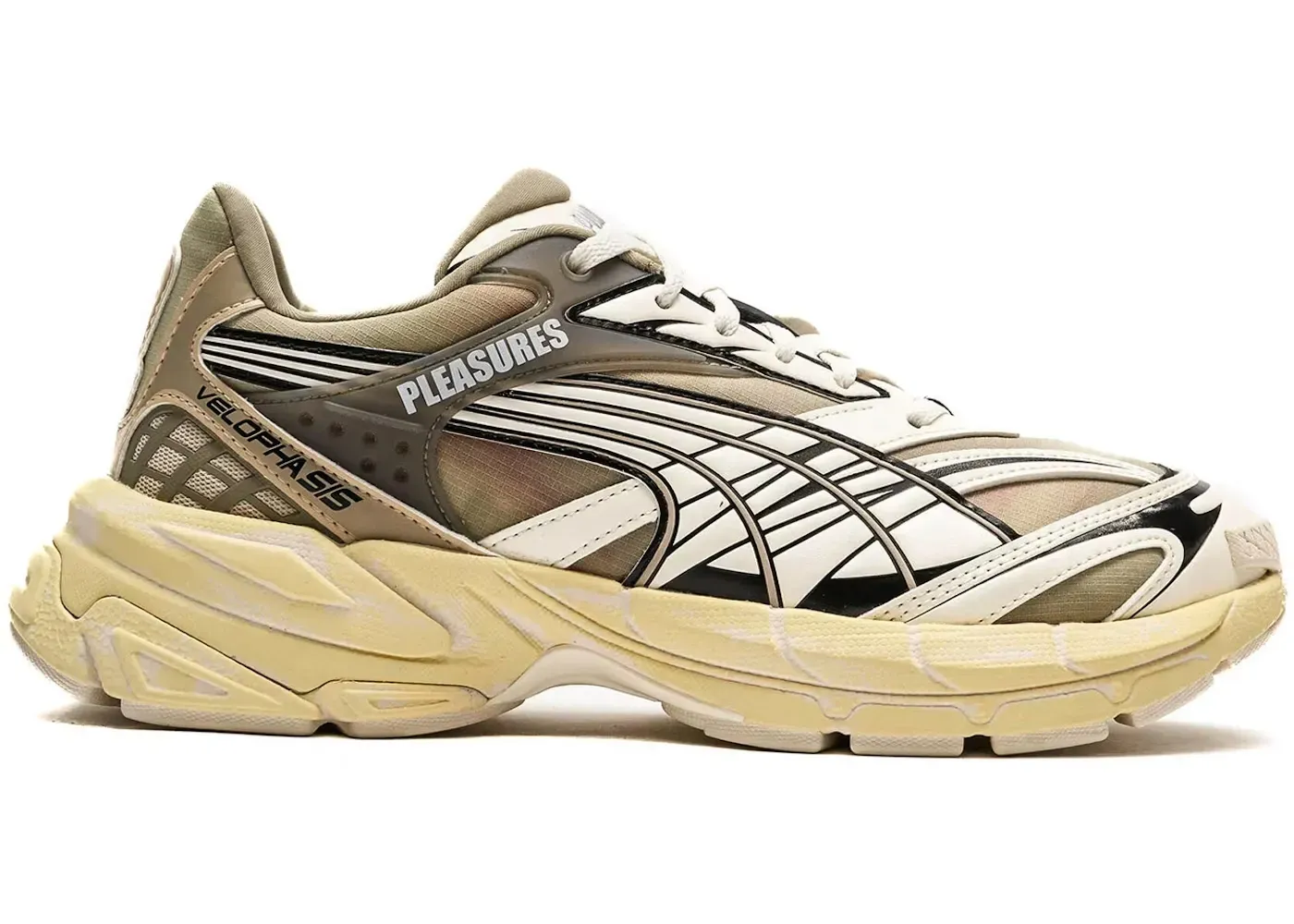 Puma Velophasis