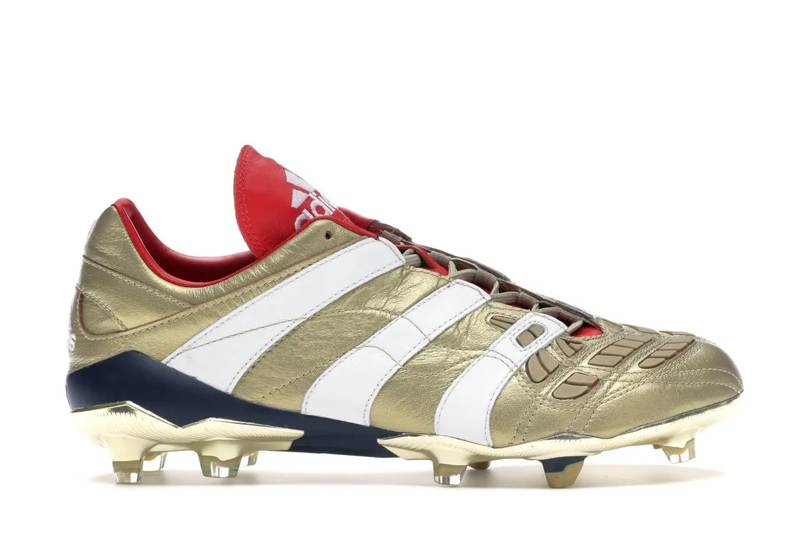 Купить Кроссовки adidas Predator Accelerator FG 25 Year Pack