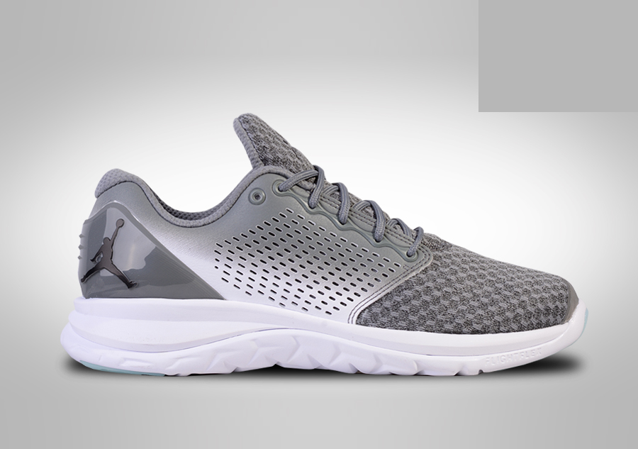 Фото № 1 с приближением к товару «‎Nike Air Jordan Trainer ST Winter Wolf »