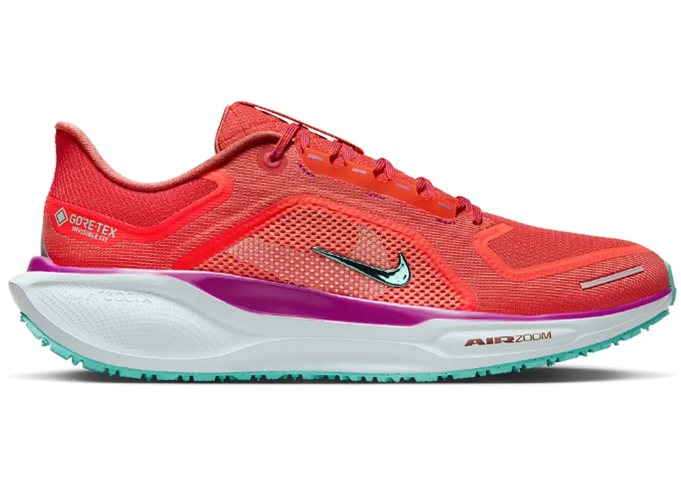 Nike Air Zoom Pegasus 41 Gore-Tex