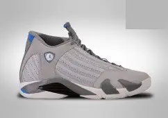 Nike Air Jordan 14 Retro Wolf  - 1
