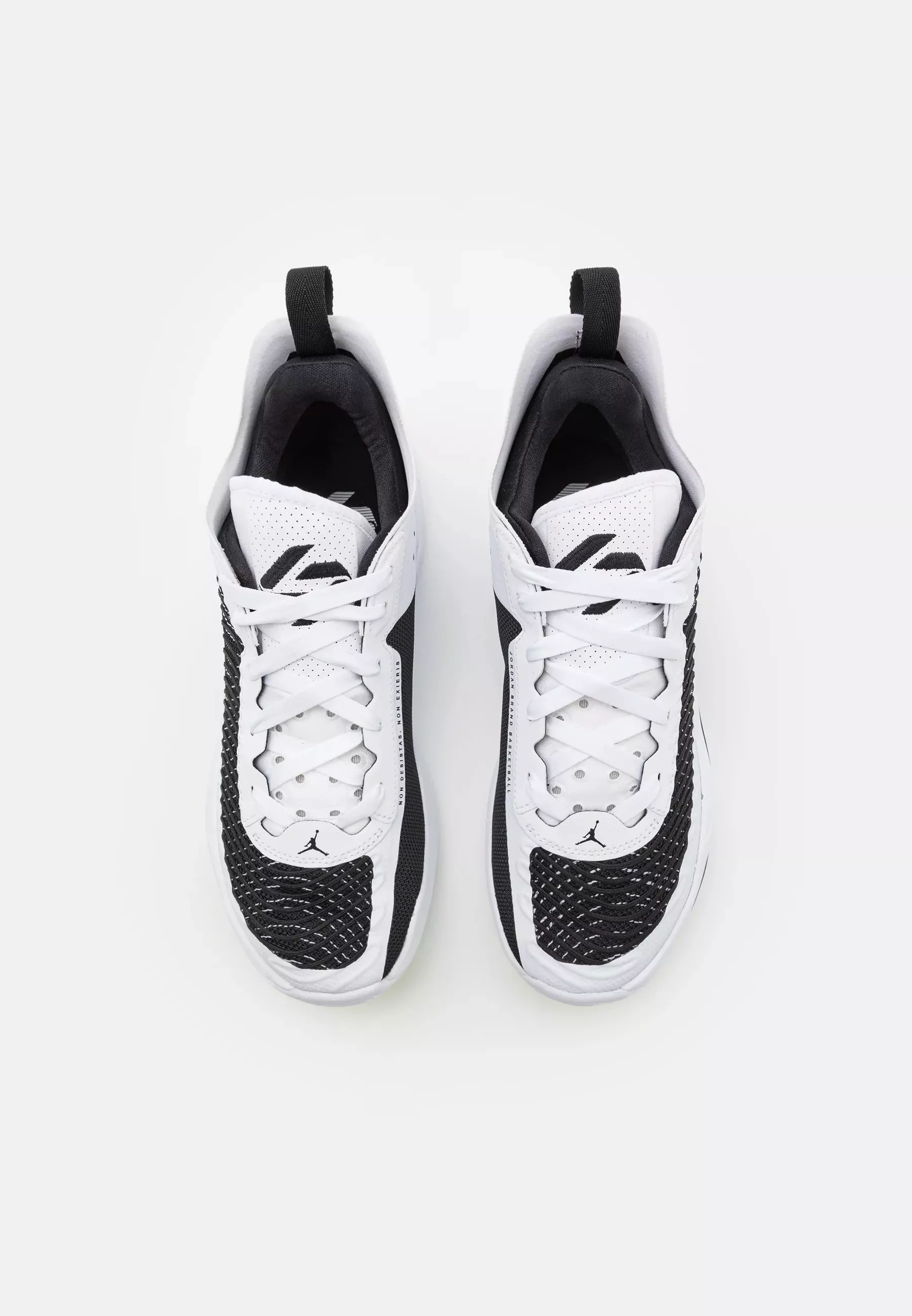 Фото № 4 с приближением к товару «‎LUKA 1»