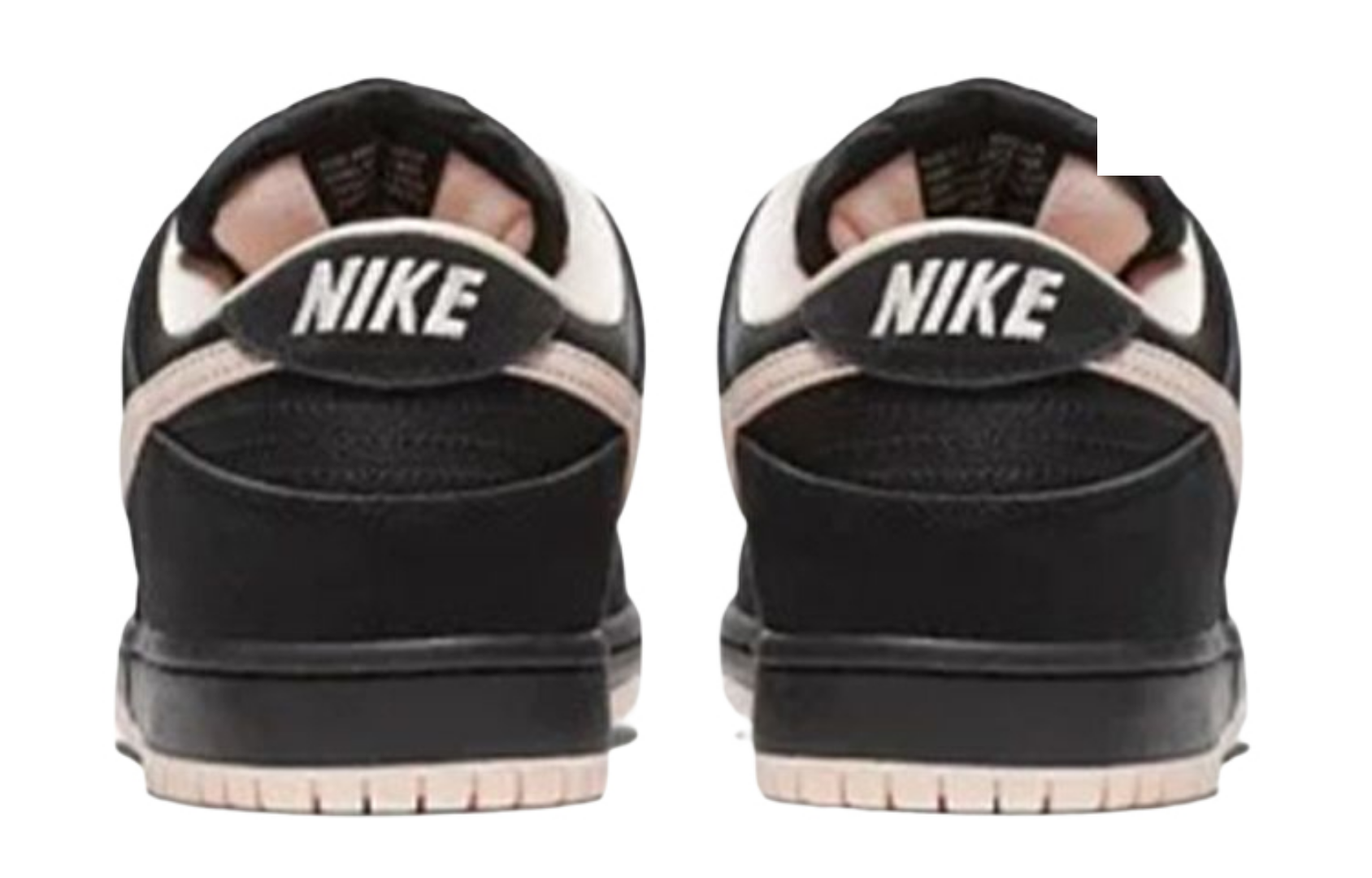 nike sb coral