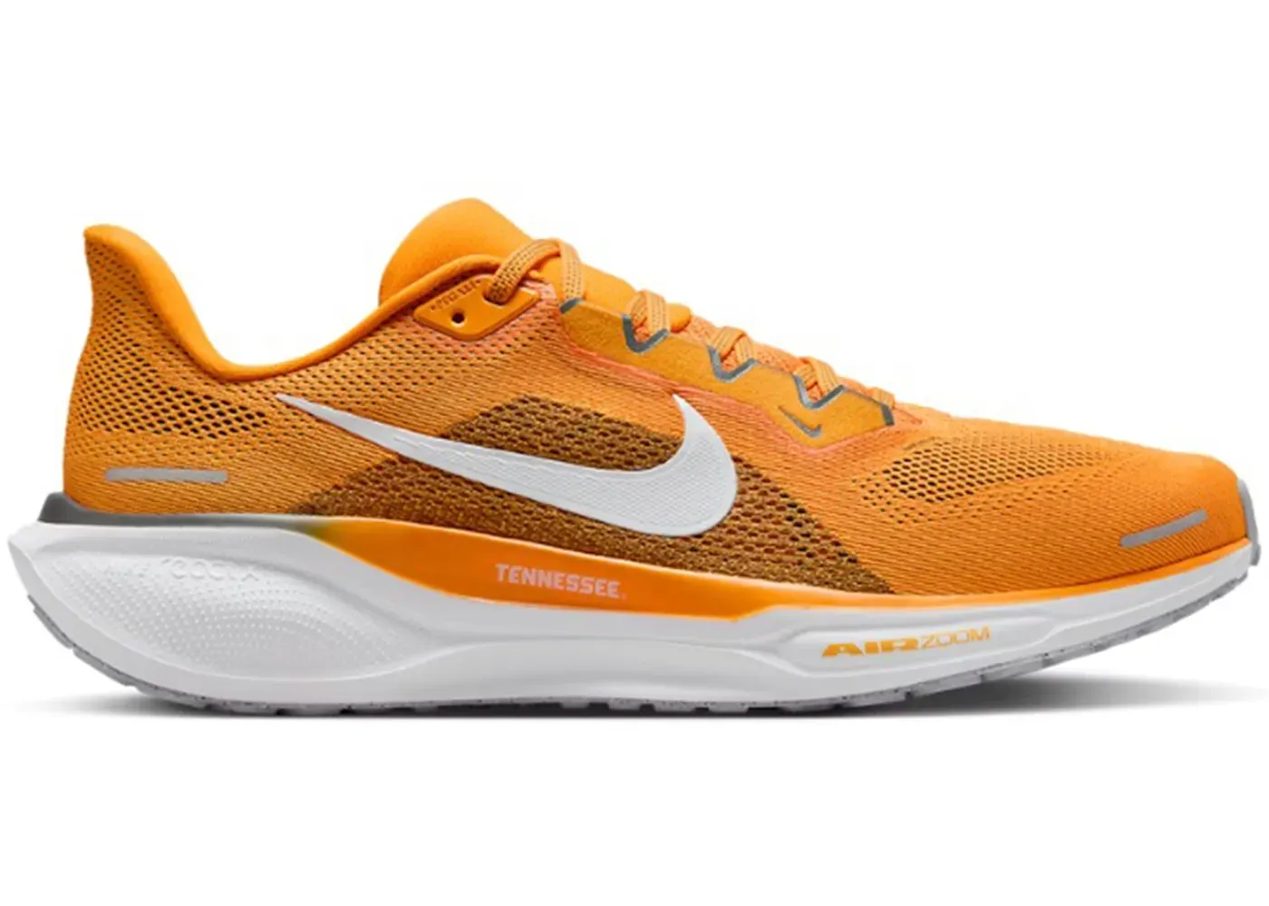 Nike Air Zoom Pegasus 41