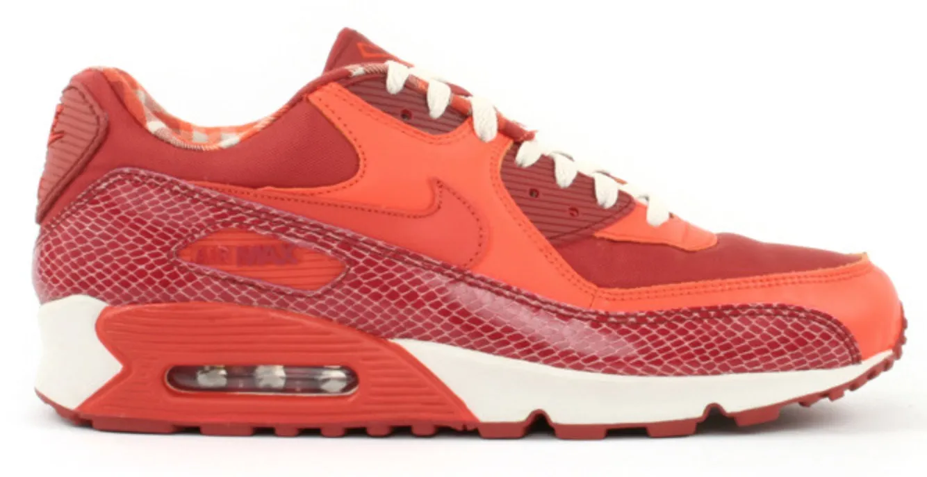 Фото № 1 с приближением к товару «‎Nike Air Max 90 Steve Nash»