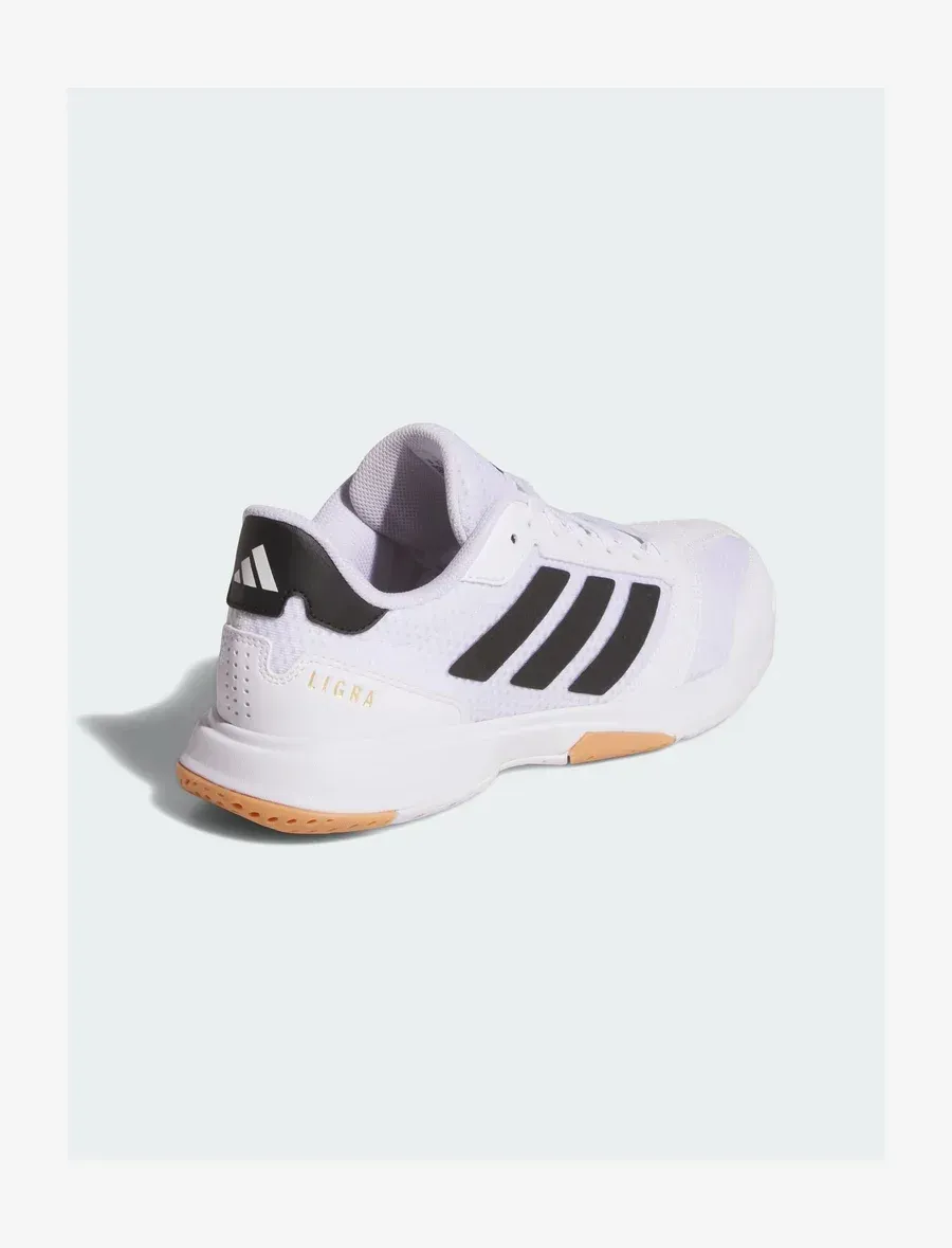 Фото № 4 с приближением к товару «‎LIGRA 8 INDOOR »