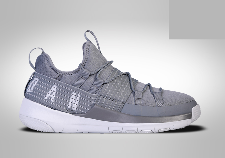 Фото № 2 с приближением к товару «‎Nike Air Jordan Trainer Pro Cool »