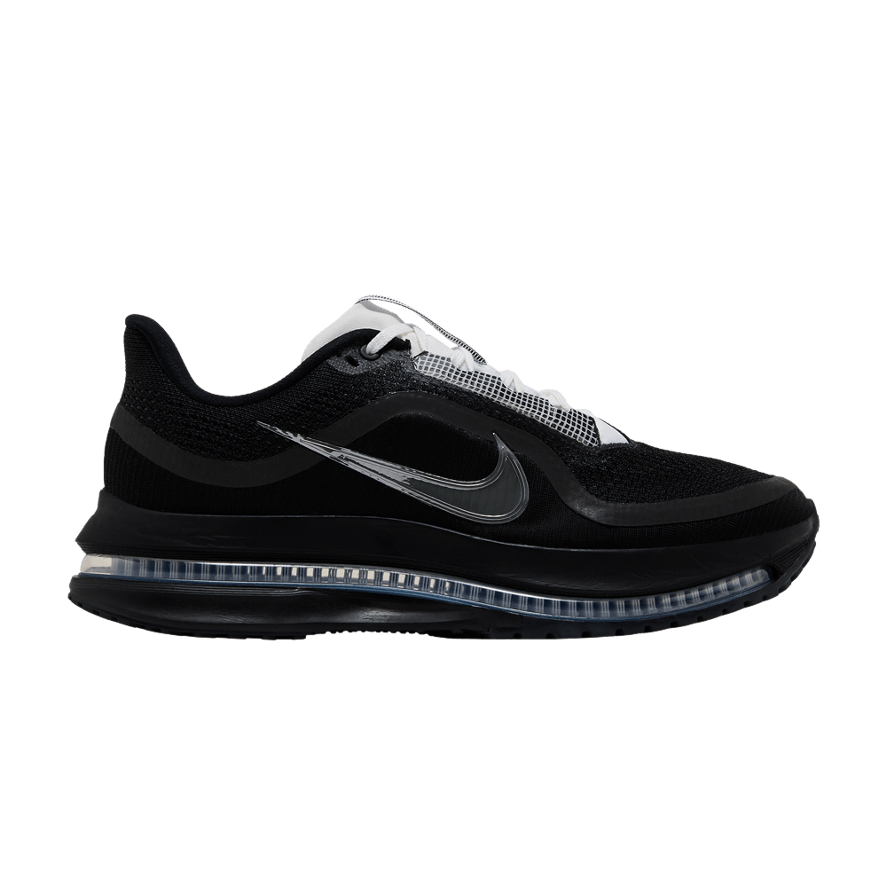 Nike Pegasus Premium SP Black Metallic Silver