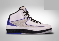 Nike Air Jordan 2 Retro Dark Concord 