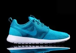 Nike Lagoon  - 1