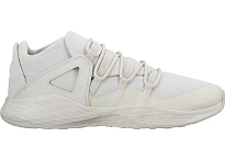 Фото № 1 с приближением к товару «‎Jordan Formula 23 Low Light Bone»