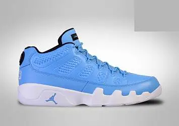 Nike Air Jordan 9 Retro Pantone  - 1