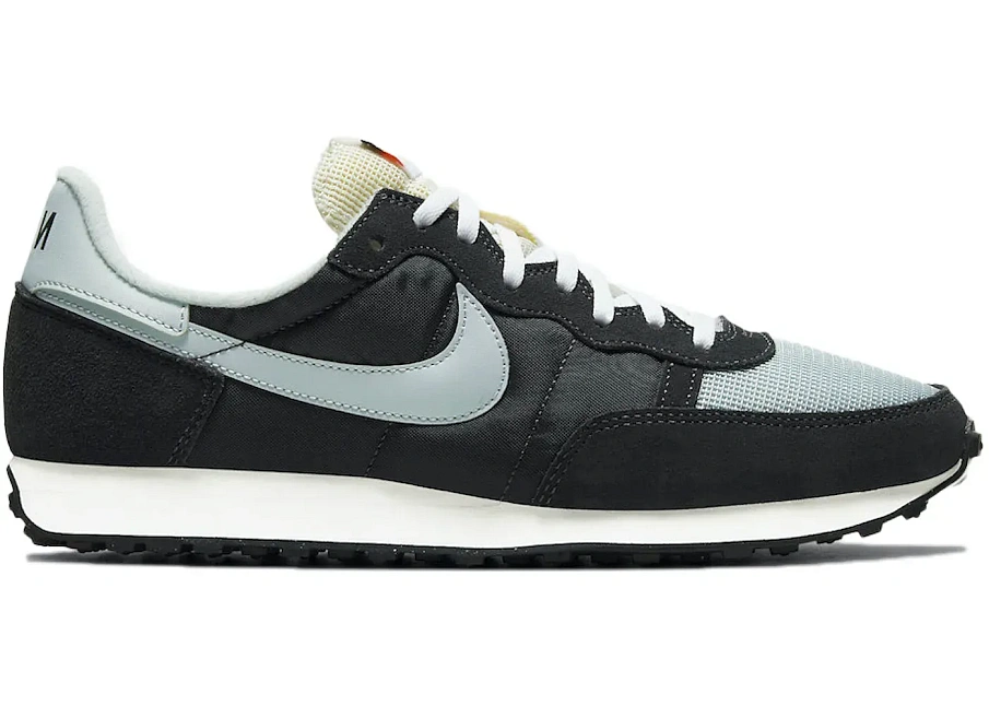 Фото № 1 с приближением к товару «‎Nike Challenger OG Dark Smoke Grey»