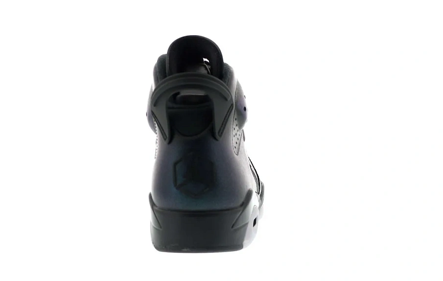 Фото № 5 с приближением к товару «‎Jordan 6 Retro All-Star Chameleon (2017)»