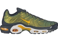 Фото № 1 с приближением к товару «‎Nike Air Max Plus Liquid Metal Anthracite»