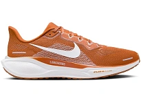 Фото № 1 с приближением к товару «‎Nike Air Zoom Pegasus 41»