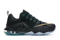 Фото № 1 с приближением к товару «‎Nike LeBron 12 Low SVSM»
