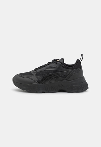 Puma Cassia  - 1