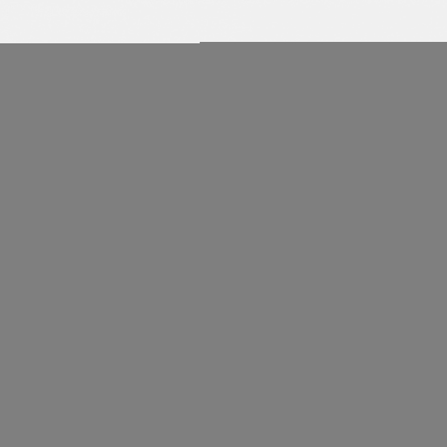 Фото № 3 с приближением к товару «‎Puma Carina 2.0 »