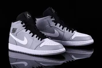 Nike Air Jordan 1 Retro Wolf  - 1