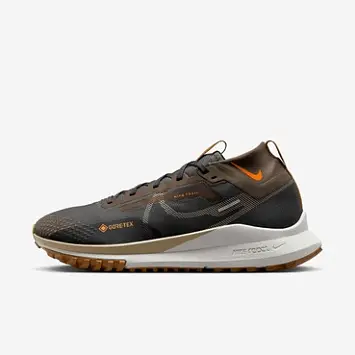 Nike Pegasus Trail 4 Gore-Tex - 1