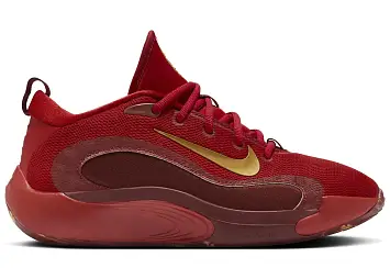 Nike IsoFly (FZ7298-600)