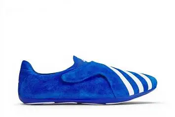 Pharrell x adidas Vario Flat Earther Blue White - 2