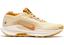 Фото № 1 с приближением к товару «‎Nike React Pegasus Trail 5 Gore-Tex SP»