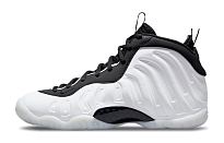 Фото № 1 с приближением к товару «‎Nike Foamposite One Vintage Basketball Shoes Home»