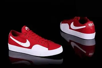 Nike SB Blazer Court Gym  - 3