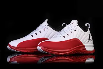 Nike Air Jordan Trainer Prime Gym (881463-120) - 3