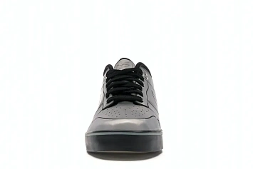 Nike Dunk Low 6.0 SE Delorean DMC-12 - 2