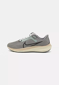 Фото № 1 с приближением к товару «‎AIR ZOOM PEGASUS 40 PRM UNISEX»