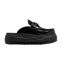 Фото № 1 с приближением к товару «‎Air Jordan Women's Jordan Mule Black Metallic Silver»