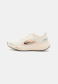 Фото № 1 с приближением к товару «‎AIR PEGASUS 41 GTX»