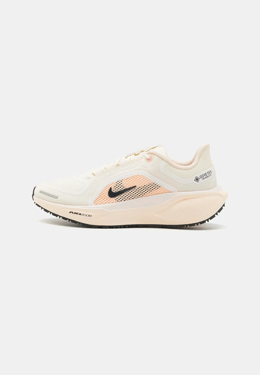 Фото № 1 с приближением к товару «‎AIR PEGASUS 41 GTX»