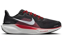 Фото № 1 с приближением к товару «‎Nike Pegasus 41»