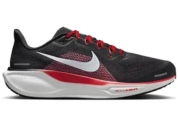 Nike Pegasus 41 (FN4932-005)