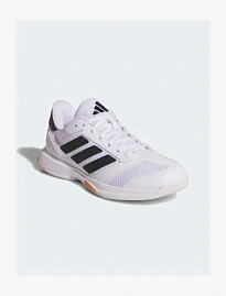 Фото № 2 с приближением к товару «‎LIGRA 8 INDOOR »