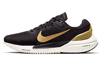 Фото № 1 с приближением к товару «‎Nike WMNS Air Zoom Vomero 15 BlackGolden»