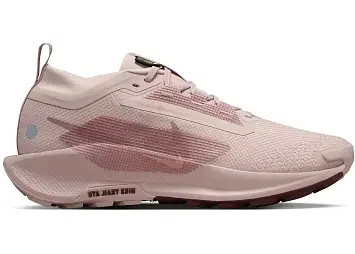 Nike React Pegasus Trail 5 Gore-Tex (FQ0912-601)