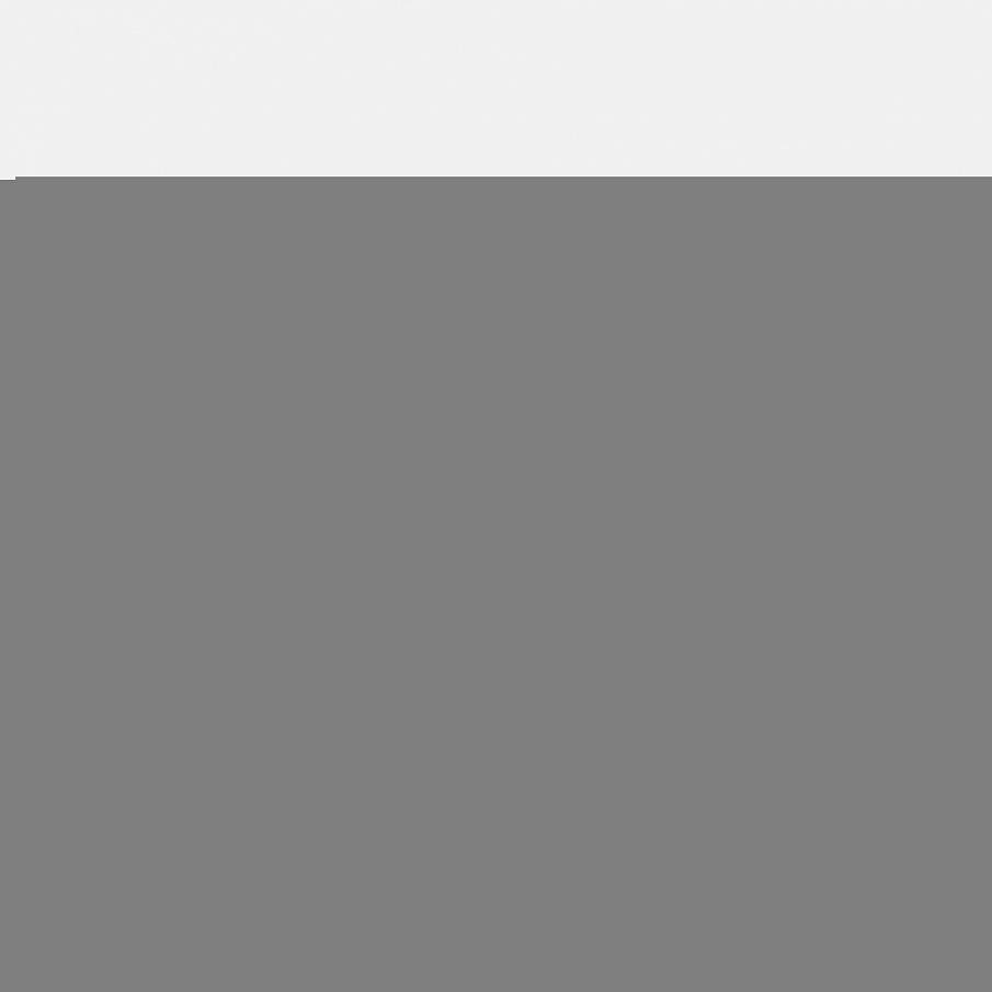 Фото № 3 с приближением к товару «‎Puma Carina 2.0 »