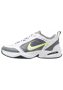 Фото № 1 с приближением к товару «‎AIR MONARCH IV»