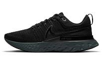 Фото № 1 с приближением к товару «‎Nike React Infinity Run Flyknit 2 Black»