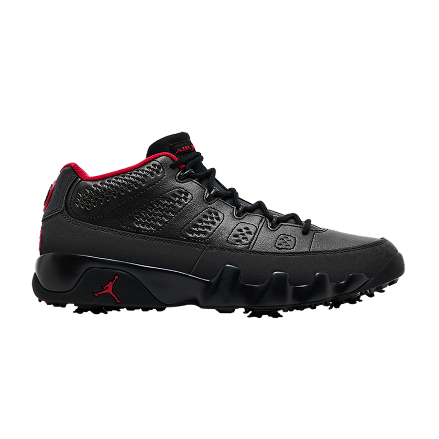 Фото № 1 с приближением к товару «‎Air Jordan 9 Low Golf Charcoal»