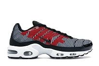 Фото № 1 с приближением к товару «‎Nike Air Max Plus Striped Black White»