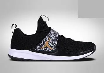 Nike Air Jordan Trainer 2 Flyknit  - 1